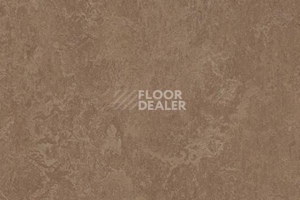 Линолеум Marmoleum Decibel on Order 325435 clay фото 1 | FLOORDEALER